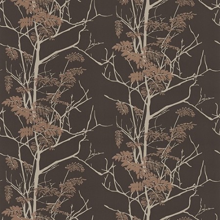 Picture of Nature - botanical inspiration - 3514