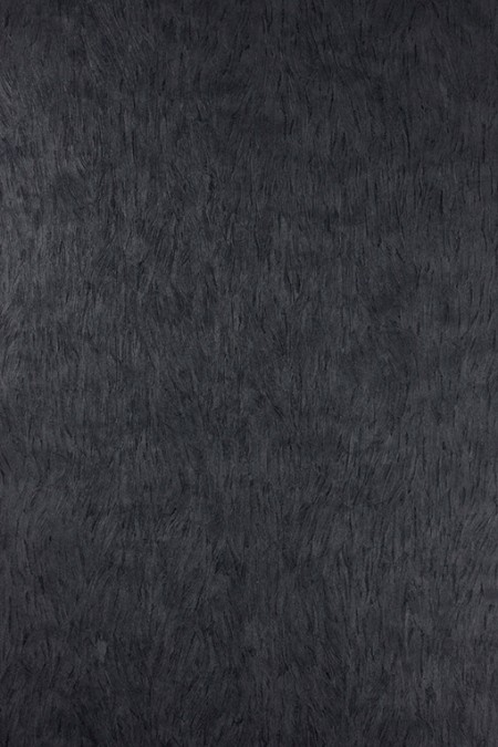 Picture of Falcon - W6901-09