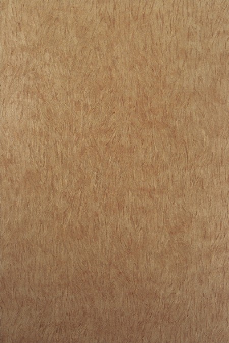 Picture of Falcon - W6901-01