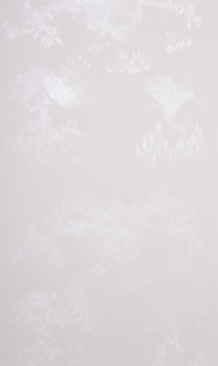 Afbeeldingen van Toile Mesdames Natural - WP2045