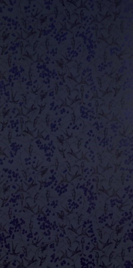 Afbeeldingen van Rainbirds Black/Navy - WP2105