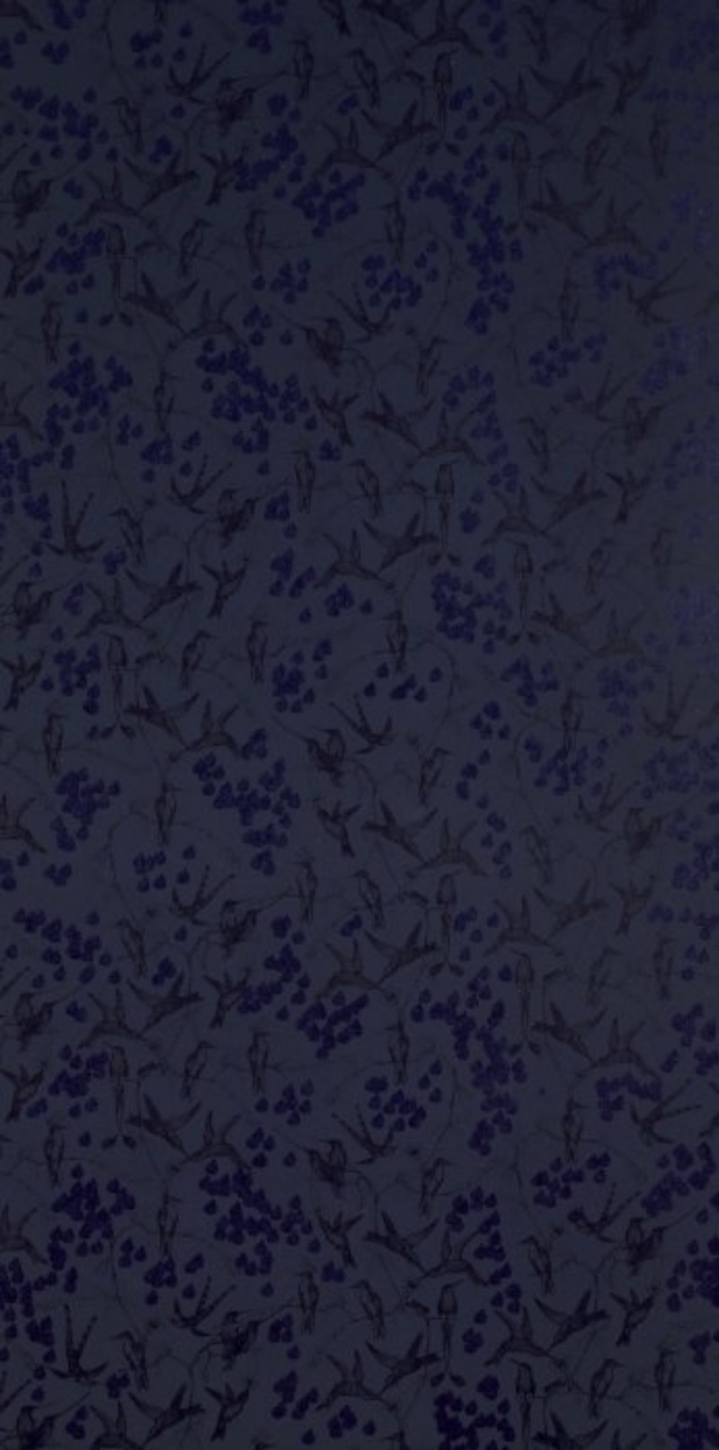 Picture of Rainbirds Black/Navy - WP2105