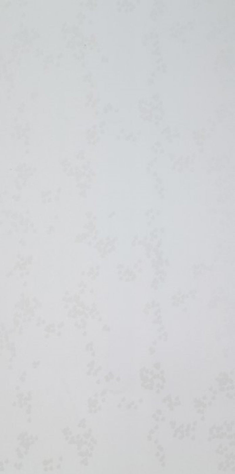 Picture of Rain Grey - WP2108