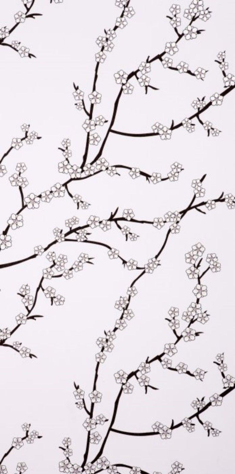 Picture of Kyoto Rose - WP1043