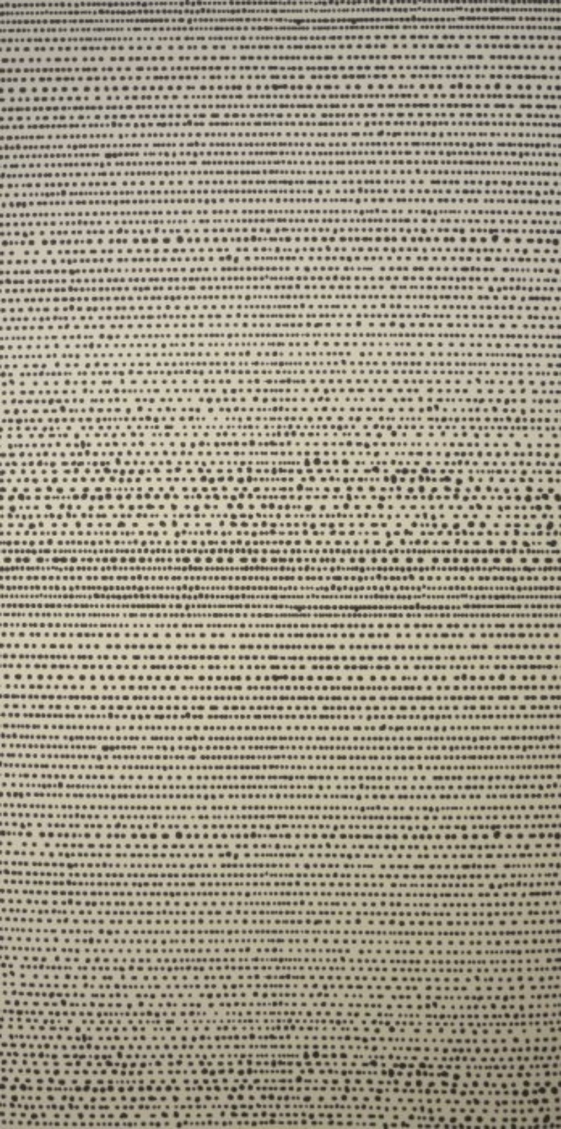 Afbeeldingen van Dribble Natural/Black - WP2182