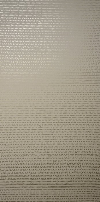 Afbeeldingen van Dribble Natural - WP2181