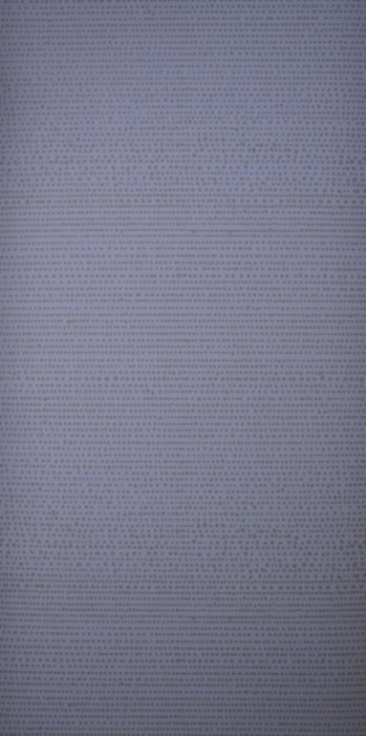 Picture of Dribble Denim - WP2185