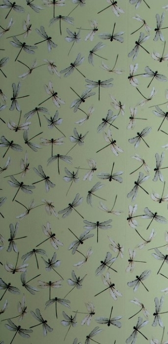 Picture of Dragonfly Celadon - WP2168