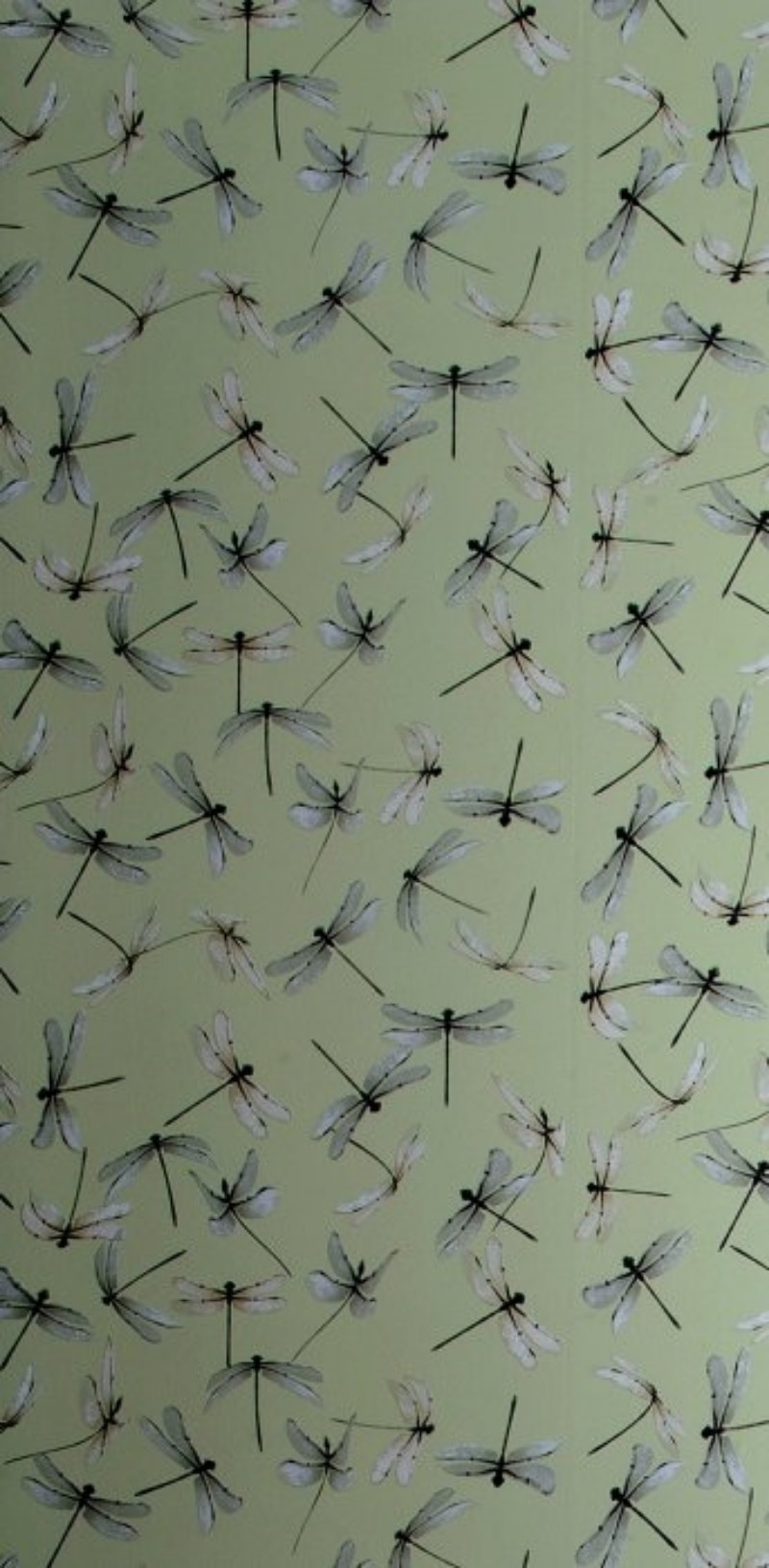 Picture of Dragonfly Celadon - WP2168