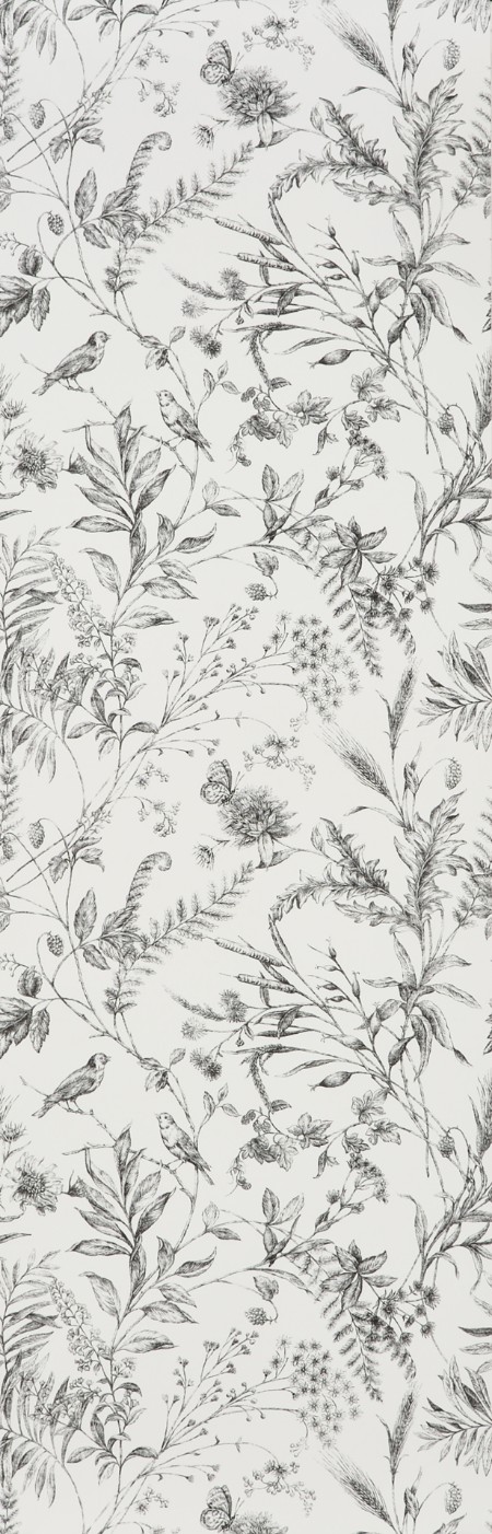 Afbeeldingen van FERN TOILE - Etched Black - PRL710/04