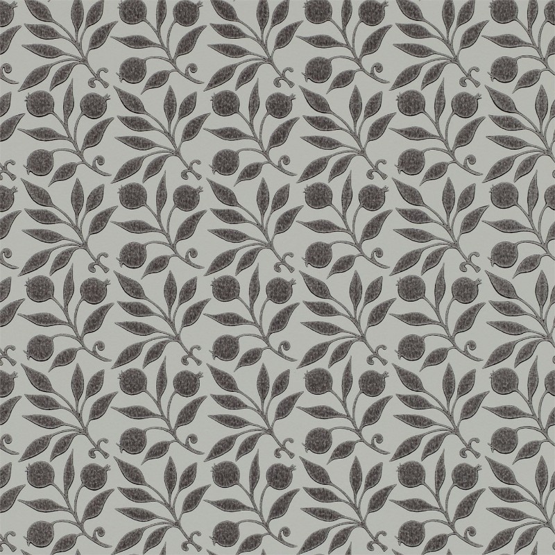 Bild på Rosehip Black - DM3W214706