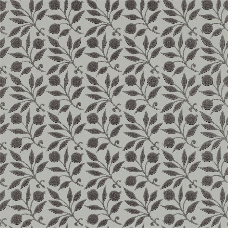 Image de Rosehip Black - DM3W214706