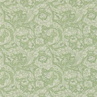 Bild på Bachelors Button Thyme - DM3W214736