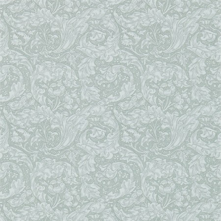 Image de Bachelors Button Silver - DM3W214735