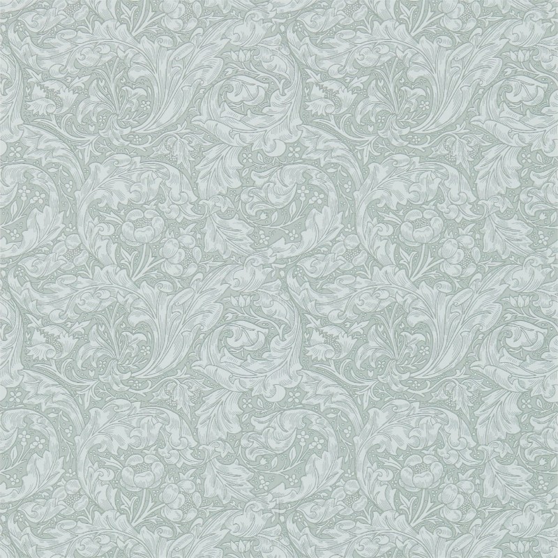 Image de Bachelors Button Silver - DM3W214735