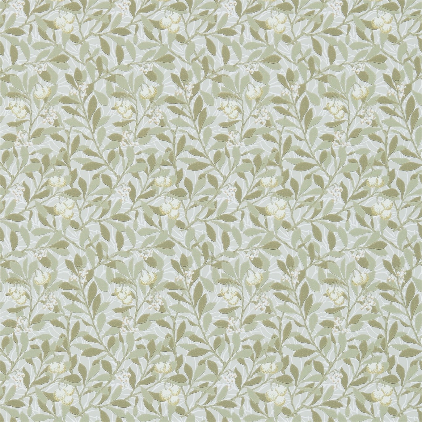 Image de Arbutus Linen/Cream - DM3W214717