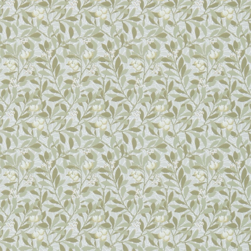 Picture of Arbutus Linen/Cream - DM3W214717