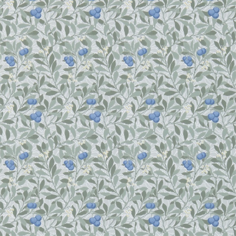 Image de Arbutus Silver/Cobalt - DM3W214721
