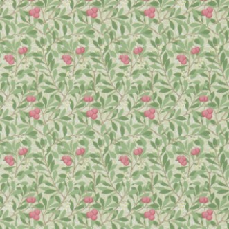 Image de Arbutus Olive/Pink - DM3W214720
