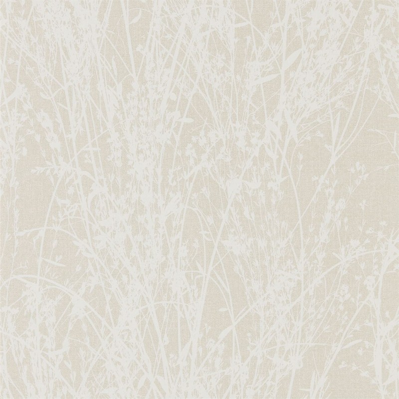 Picture of Meadow Canvas White/Parchment - DWOW215695
