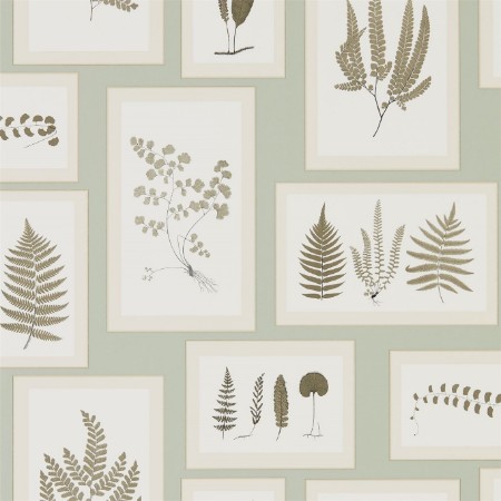 Image de Fern Gallery Blue/Sepia - DWOW215715