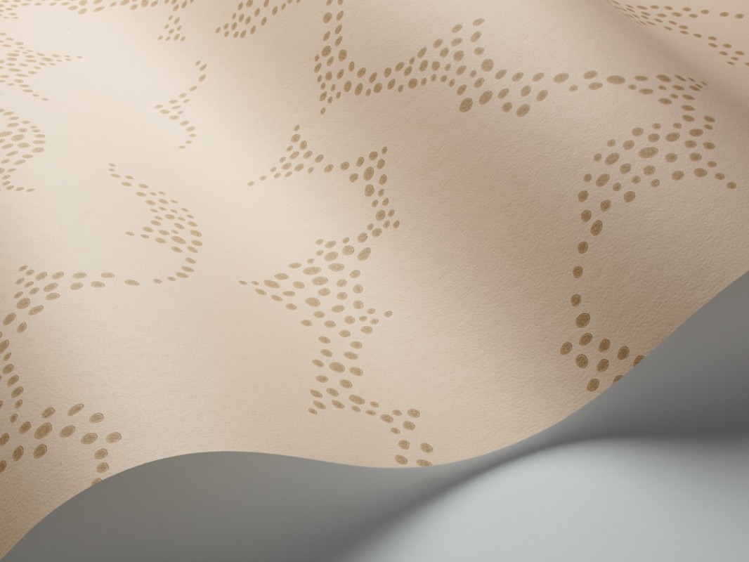 Picture of Molntuss - 1457