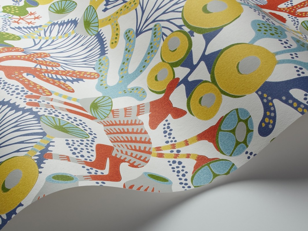 Bild på Koralläng - 1462