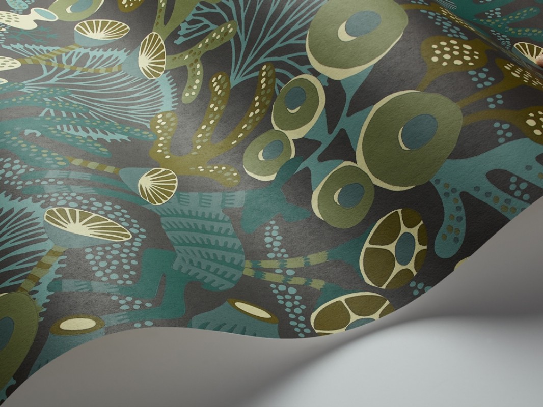 Picture of Koralläng - 1460