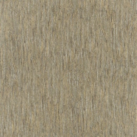 Image de Dhari - Birch - PDG644/05