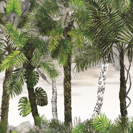 Bild på Croisette - Rainette - PCL022/01