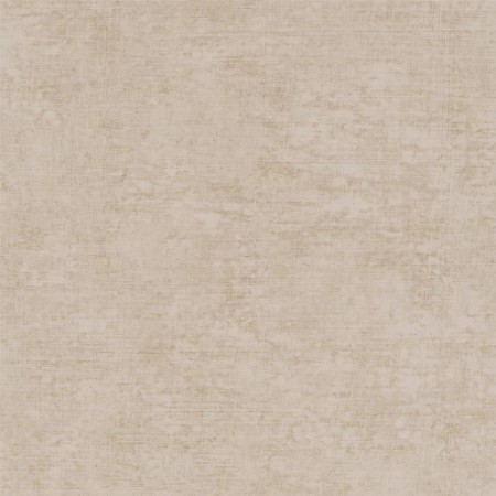 Picture of Cerato - Shell - P604/22