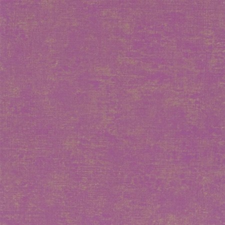 Picture of Cerato - Fuchsia - P604/20