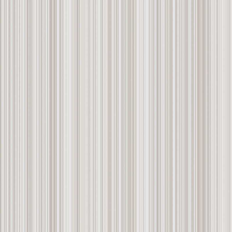 Picture of Ackord - 5455