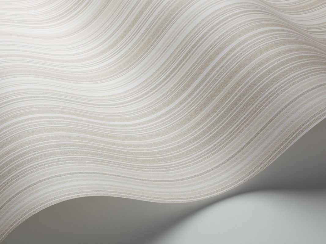 Picture of Ackord - 5455