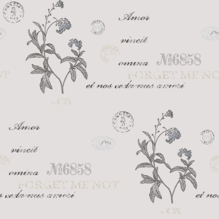 Bild på Forget Me Not - 4019