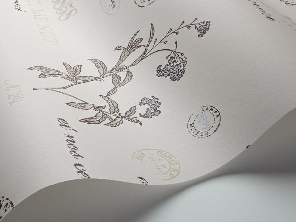 Bild på Forget Me Not - 4019