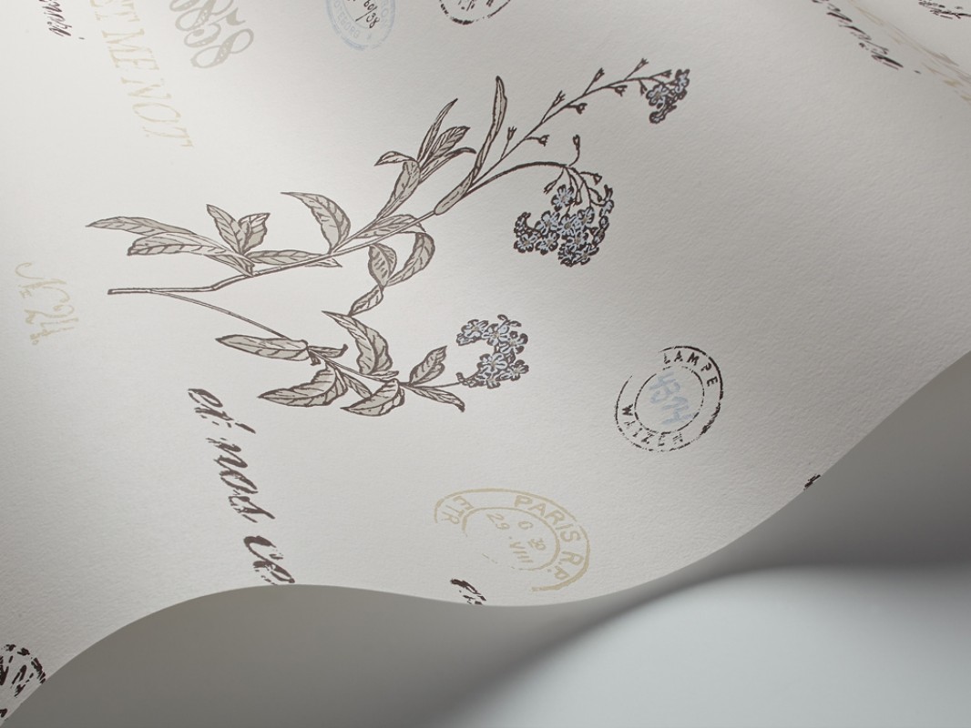 Bild på Forget Me Not - 4019