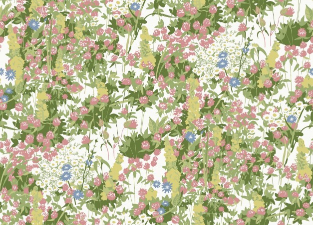 Picture of Klöver - 2733