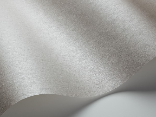 Image de Steel Grey - 4659