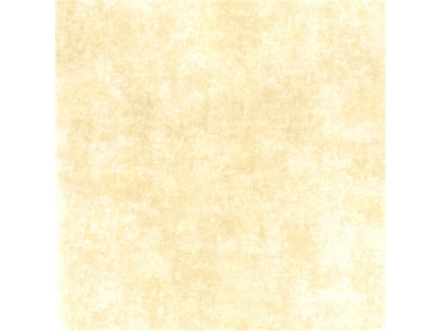 Image de Gilded Fresco Milk/Cream - FG054-J131