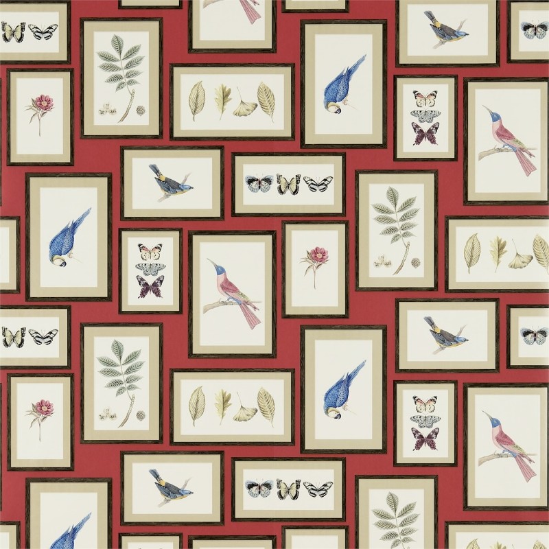 Picture of Picture Gallery Red/Multi - 213398