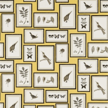 Picture of Picture Gallery Yellow/Charcoal - 213396