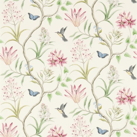 Image de Clementine Chintz - 213388
