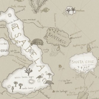 Picture of Galapagos Pewter - 213365