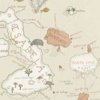 Picture of Galapagos Parchment - 213362