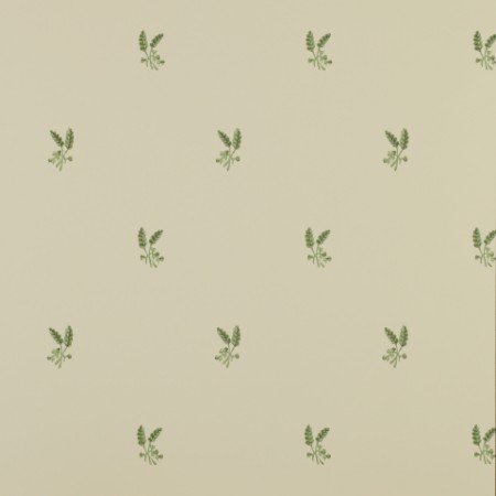 Image de Fernwood - 07926/01