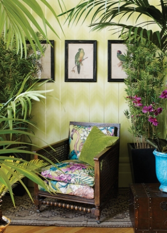 Afbeeldingen van Danzon  - W6802-01