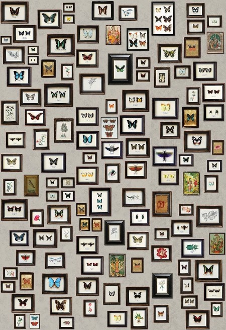 Picture of Narissa - W6953-01