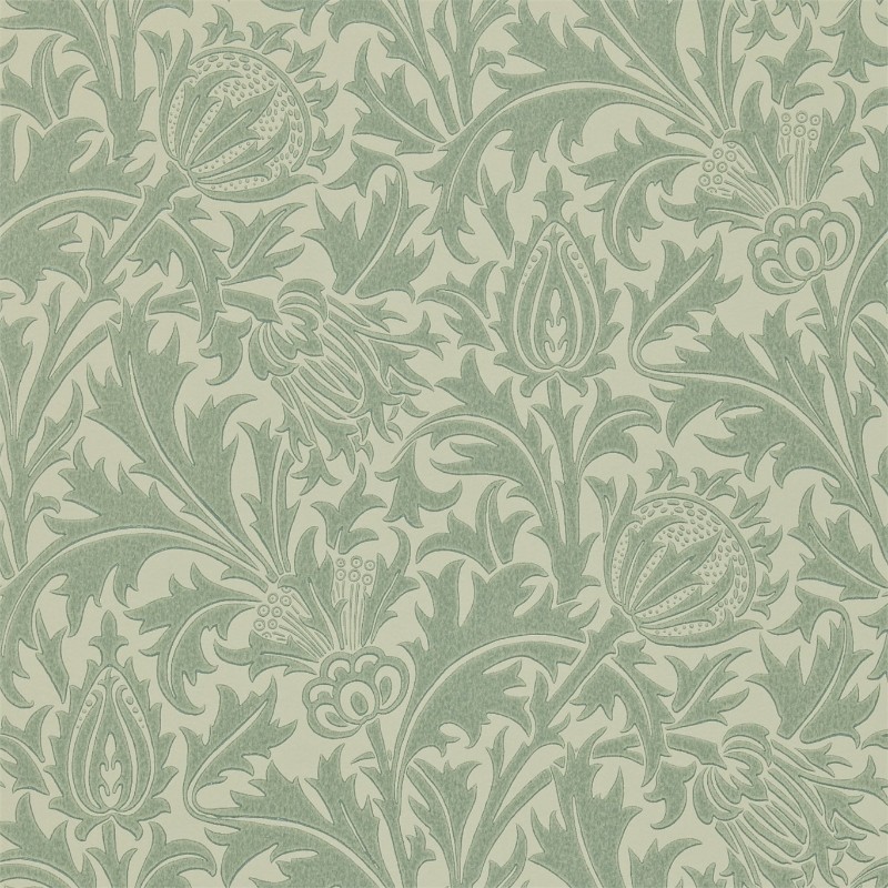 Image de Thistle Eggshell/Ivory - DMOWTH105