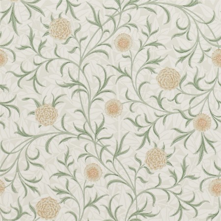 Picture of Scroll Thyme/Pear - 210365